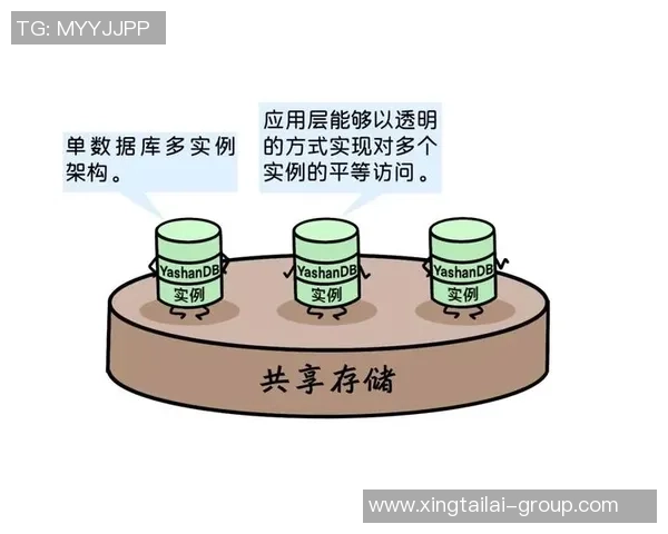 深入探讨上海网球队比赛经验对竞技表现的影响与数据分析结果