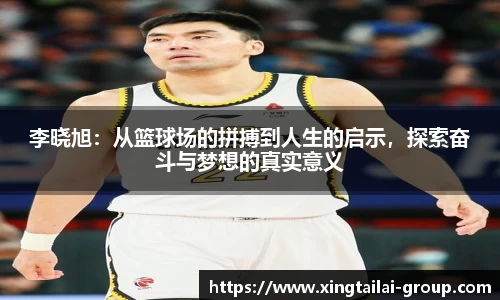 凤凰联盟官方网站