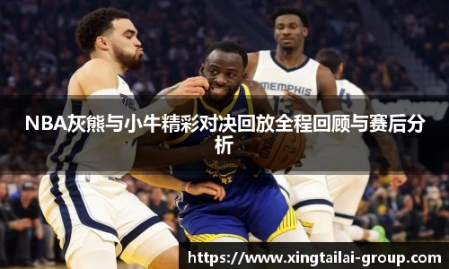 NBA灰熊与小牛精彩对决回放全程回顾与赛后分析